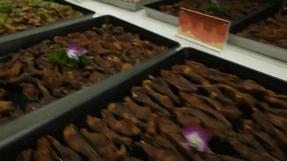 84d025136f85cc1.gif 84d025136f85cc1.gif